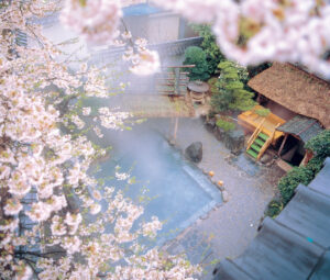 「部屋からお花見」って本当に出来ますか？