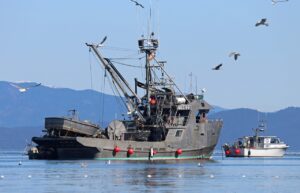 格安旅館で楽しむ温泉付きプランの選び方は？