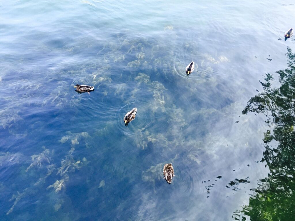 隠れ家旅館で過ごすおすすめの癒しの時間は？