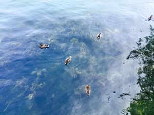 隠れ家旅館で過ごすおすすめの癒しの時間は？