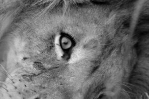 ワーケーションに最適な快適宿でのWi-Fi環境は？