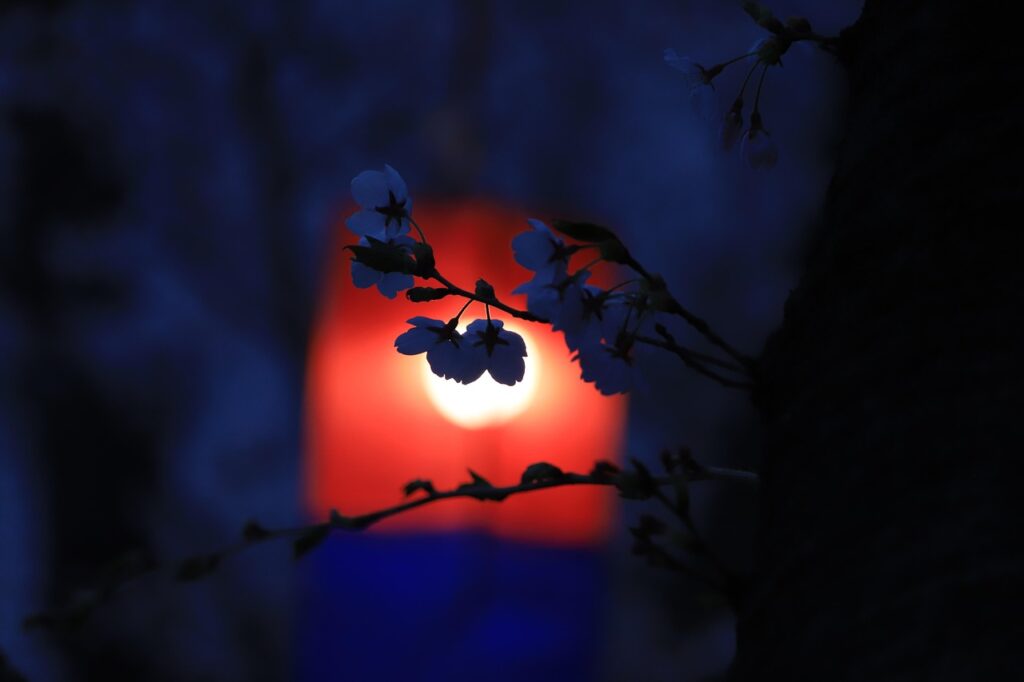 夜景を一望できるホテルのおすすめは？