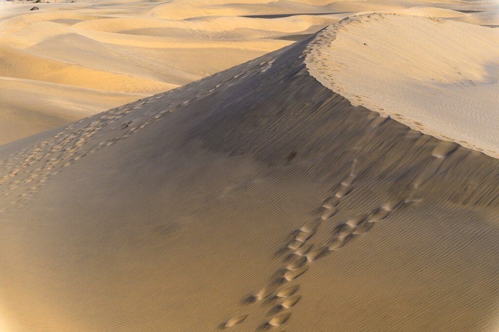 秘湯の温泉で特別な体験ができる小さな宿はどこ？