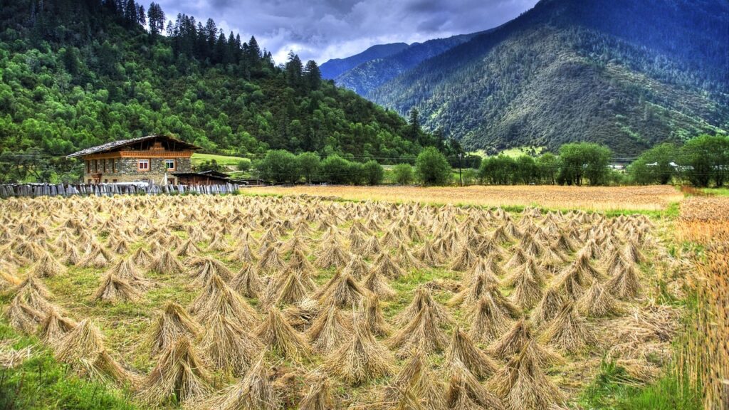 おこもりに最適な山小屋での宿泊体験は？