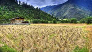 おこもりに最適な山小屋での宿泊体験は？