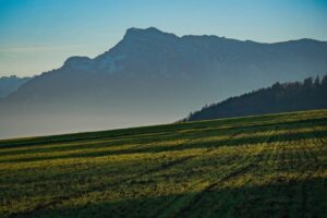 おこもり旅行に最適な予算で楽しむ2泊3日のプランは？