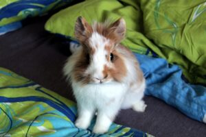 ソロワーケーションに最適な温泉宿はどこですか？