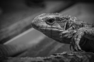 ワーケーションに最適なサテライトオフィス付宿はどこ？