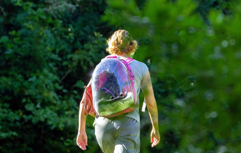 女子旅にぴったりなプリンセスルームの宿はどこ？