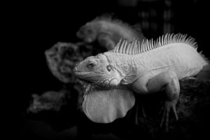 おこもりに最適な個室岩盤浴付きのリラクゼーションスポットは？