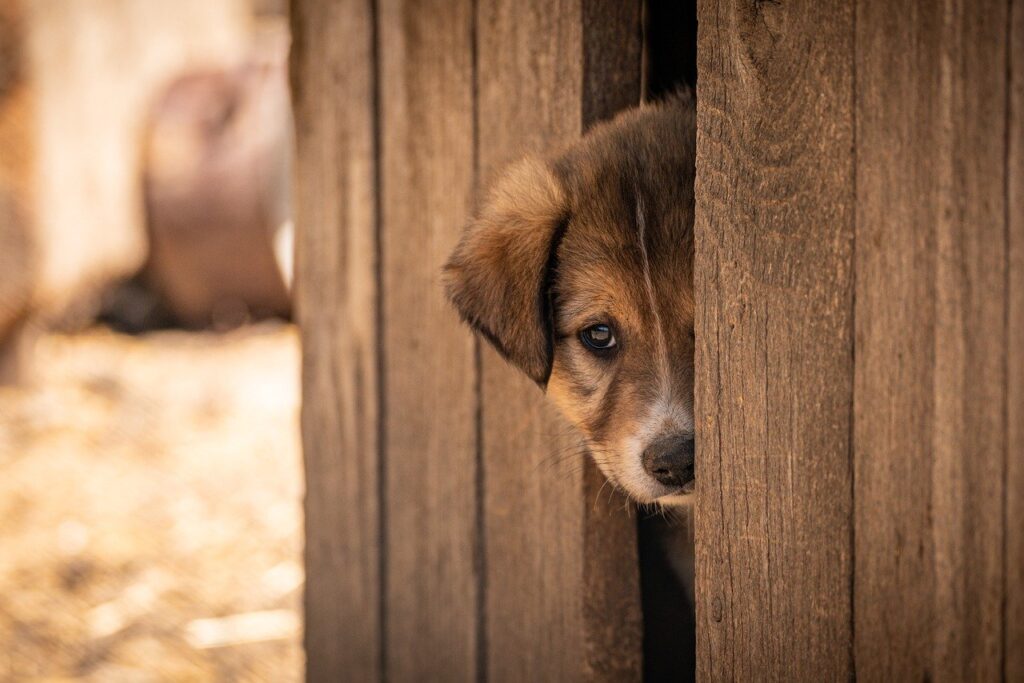 一人旅におすすめの宿は？口コミで評価の高い特別な国内旅行とは？