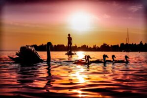 SUP国内旅行に最適な特別な宿の選び方は？