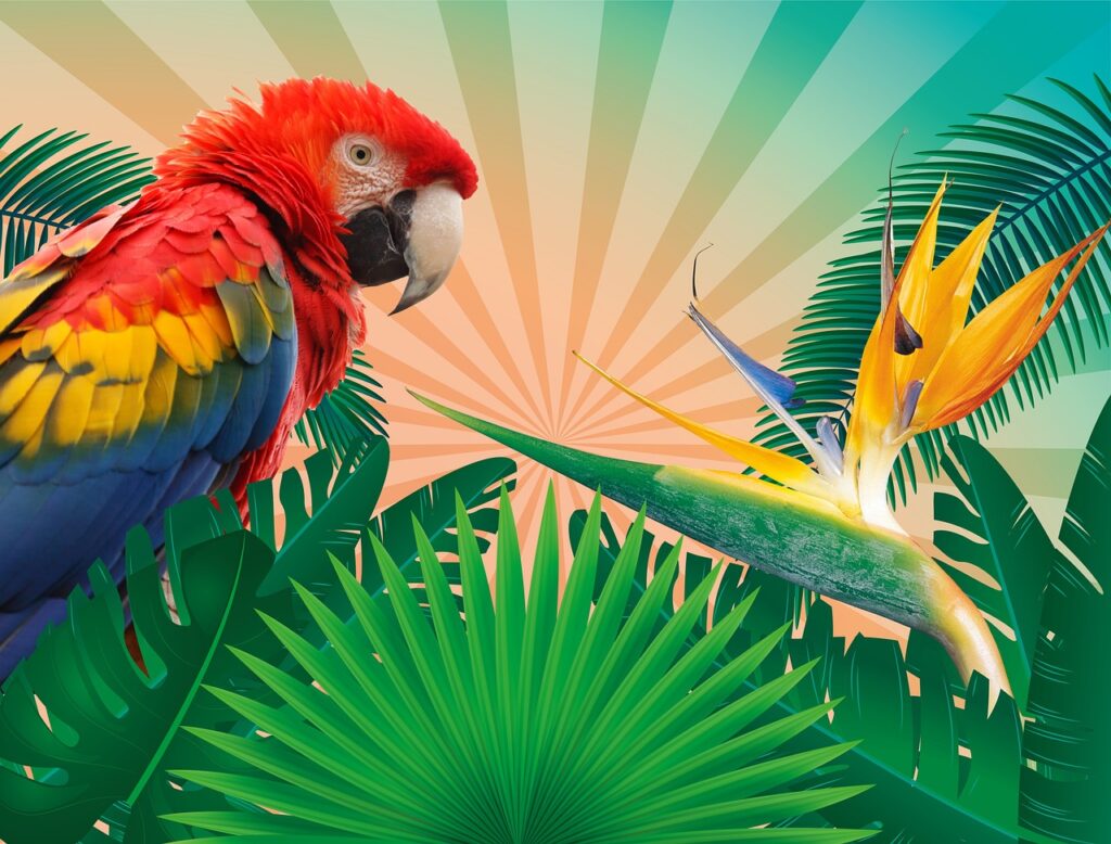 夏休み向けの国内宿比較でおすすめはどこ？