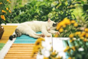国内旅行の宿はどれを選ぶ？旅行プランのポイントは？