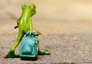 旅行の宿の評判は本当に信頼できる？